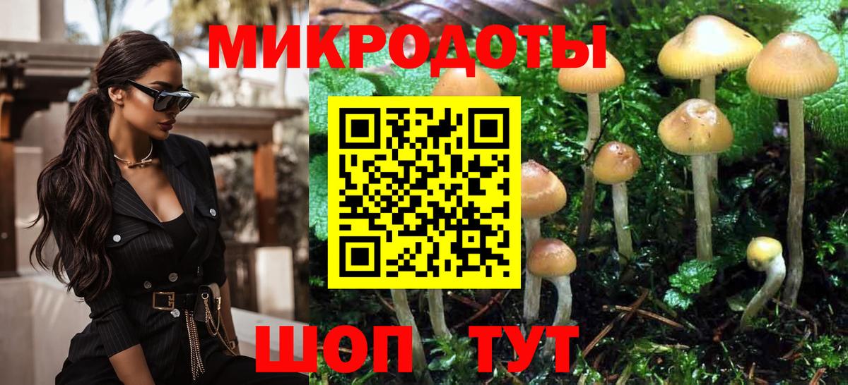 Орехово-Зуево  Галлюциногенные грибы Cubensis  Вход с VPN 