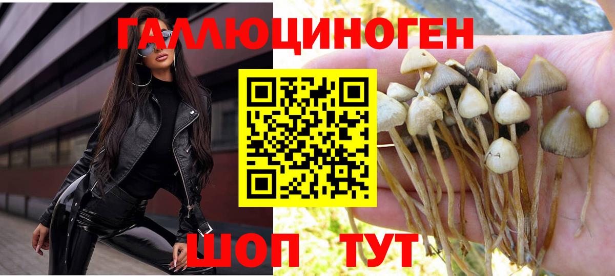 Псилоцибиновые грибы Cubensis Орехово-Зуево